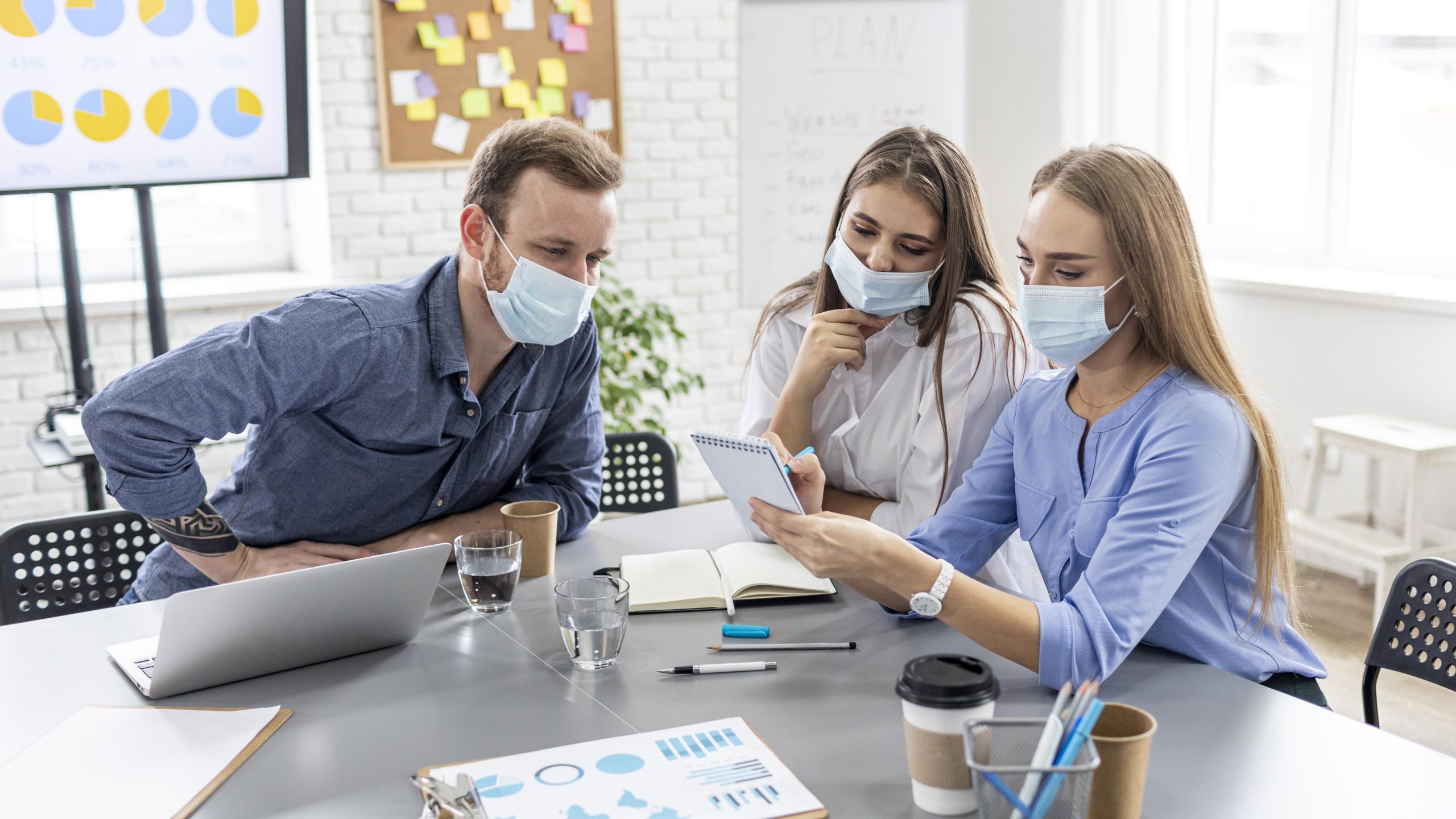 verifiable work history, recommendas